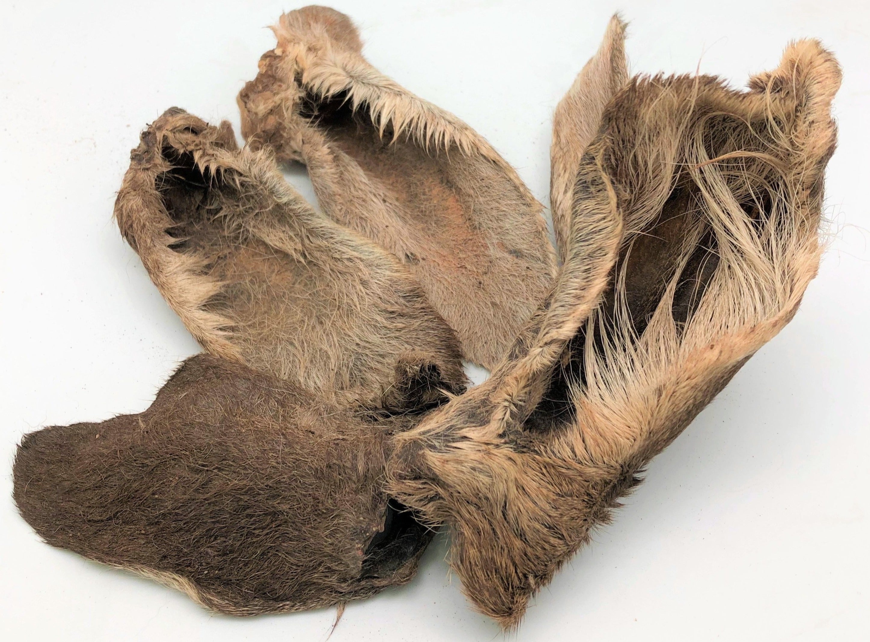 Kangaroo Ears with Fur Dog Treats