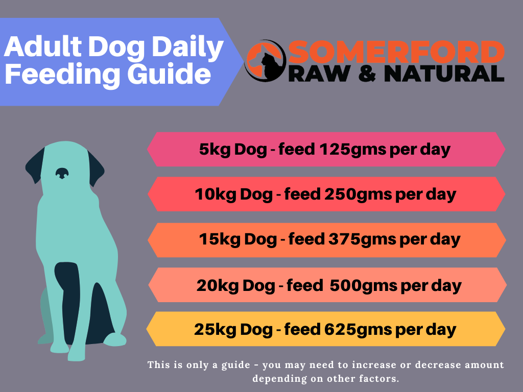 Somerford Raw & Natural - SUPERFOODS Wagyu Beef & Goat Dog Food Pack + FREE Meaty Bones.