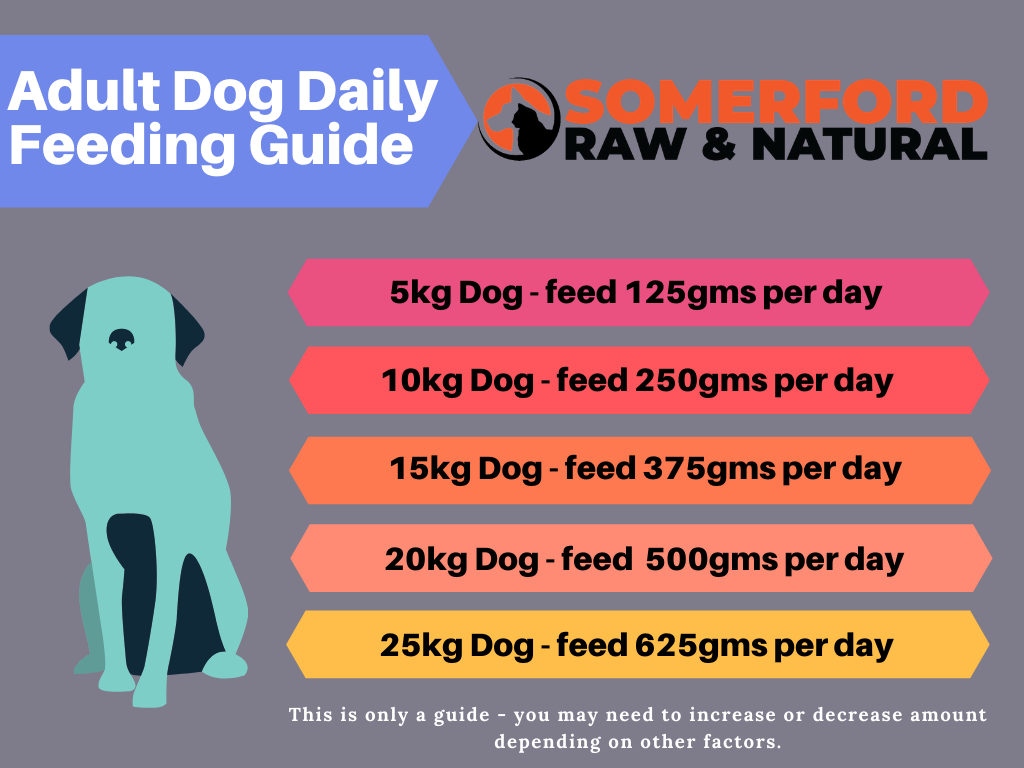 Somerford Raw & Natural "GAME MEAT RANGE" - Adult Dog Food Kangaroo & Veg Pack + FREE Meaty Bones