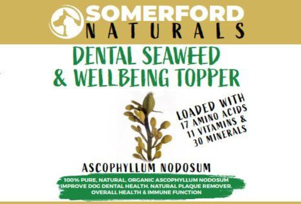 Dental Seaweed and Well being Topper for Dogs & Cats