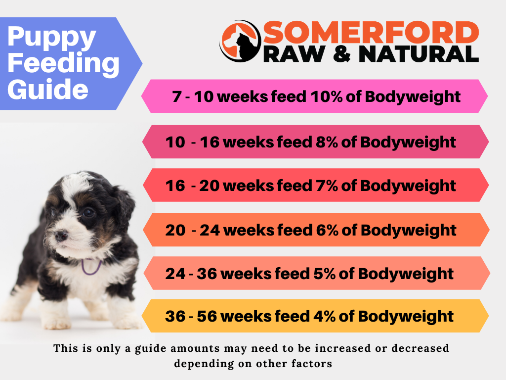 Somerford Raw & Natural - PICK a PROTEIN Puppy Pack + FREE Meaty Bones
