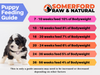 Somerford Raw & Natural - Baby Puppy Food Hunter Valley Turkey & Bone Pack + FREE Meaty Bones