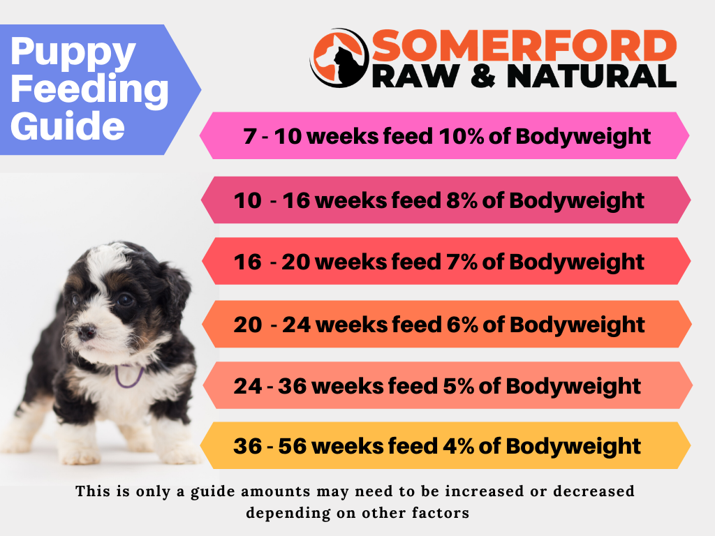 NEW Somerford Raw & Natural - Puppy Food BUDGET Poultry & Fish Combo Pack + FREE Meaty Bones